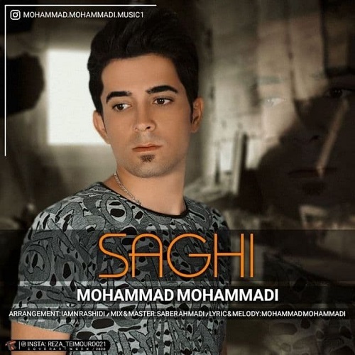 محمد محمدی ساقی